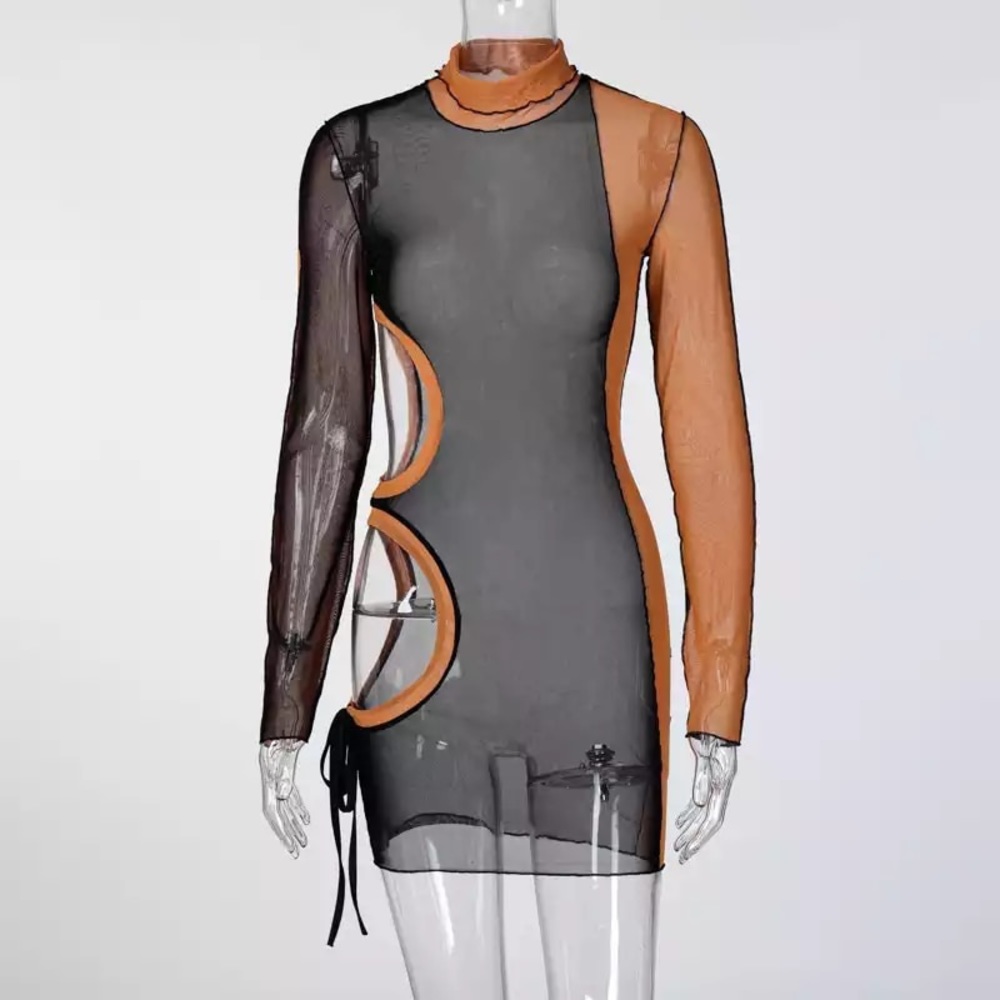 Long Sleeve  Mesh See-Through Sexy Mini Dress